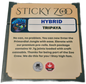 Sticky Zoo 10PK